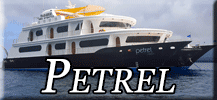 Petrel Catamaran